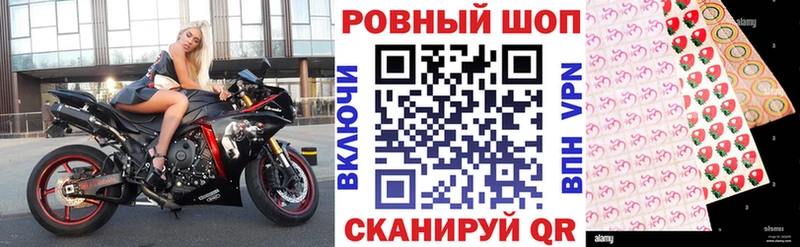 Что такое Белоярский СК 