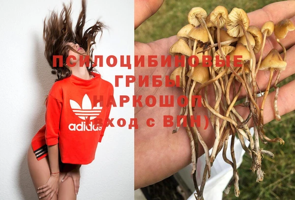 ECSTASY Аркадак