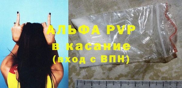 индика Алексин