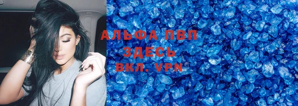 сатива Баксан