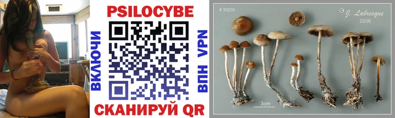 Псилоцибиновые грибы MAGIC MUSHROOMS  Белоярский 